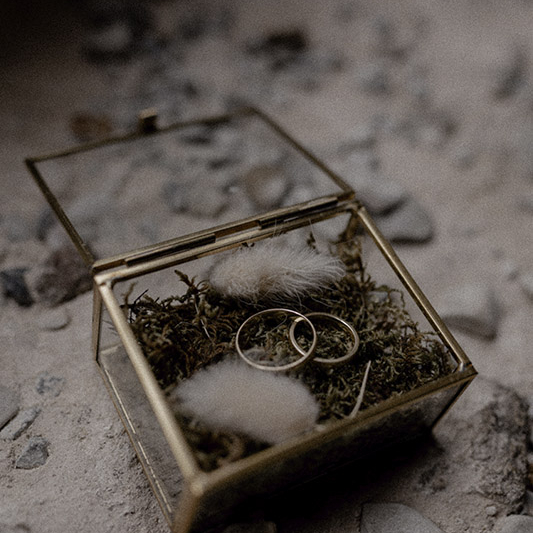 RDF_MG_3972